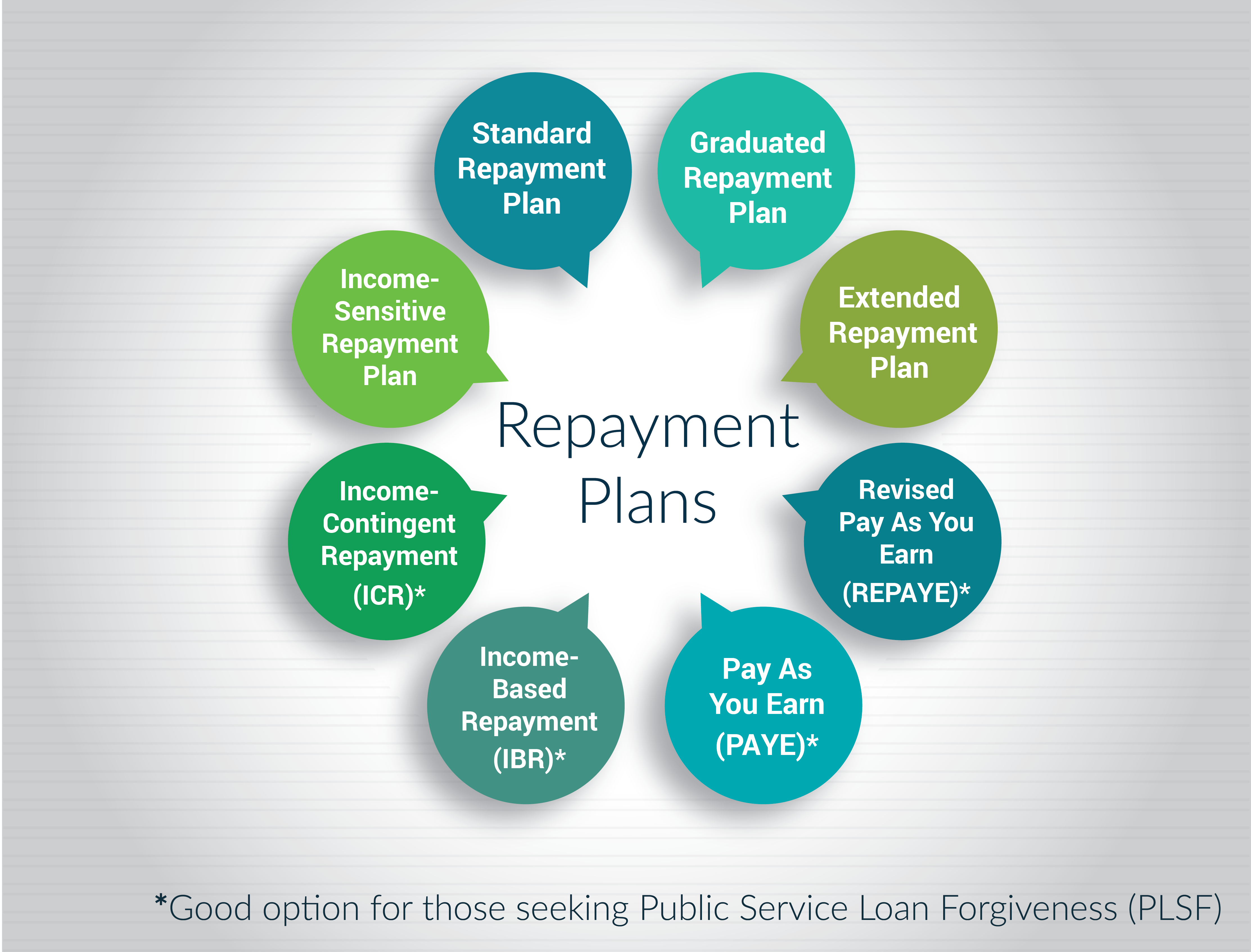 Loan repayment program